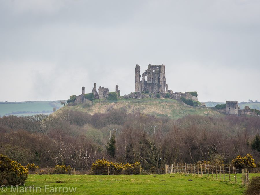 Corfe castle and Dorset countryside